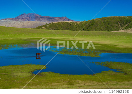 Aso, Kumamoto Prefecture: Spring blue skies and horses grazing on Kusasenri Beach Aso, Kumamoto Prefecture: Spring blue skies and horses grazing on Kusasenri Beach 114962168