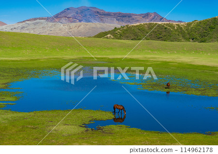 Aso, Kumamoto Prefecture: Spring blue skies and horses grazing on Kusasenri Beach 114962178