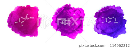 Neurotransmitters vector illustration on watercolor background 114962212