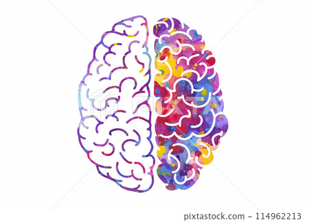 Watercolor brain, left and right hemispheres. Vector illustration 114962213