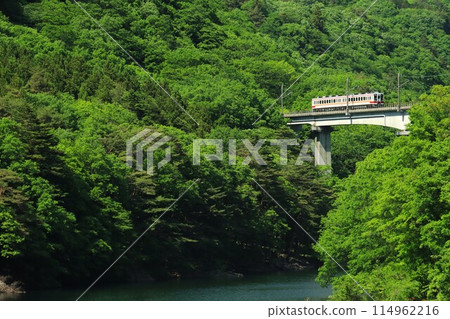 Fresh green Yagan Railway 6050 series Fresh green Yagan Railway 6050 series 114962216