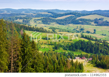 rural landscape in carpathian mountains of ukraine. alpine countryside scenery with grassy meadows and forested rolling hills in summer. beautiful view of the valley near borzhava ridge from above 114962333