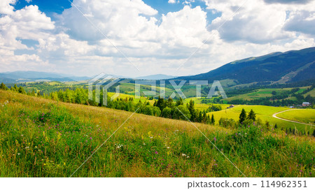 rural landscape in carpathian mountains of ukraine. alpine countryside scenery with grassy meadows and forested rolling hills in summer. beautiful view of the valley near borzhava ridge on a sunny day 114962351