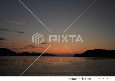 愛媛郡對馬町宇和海的夜景 114962680