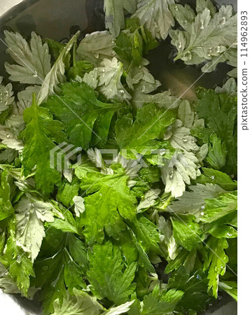 剛採摘的艾草 剛採摘的艾草 114962893