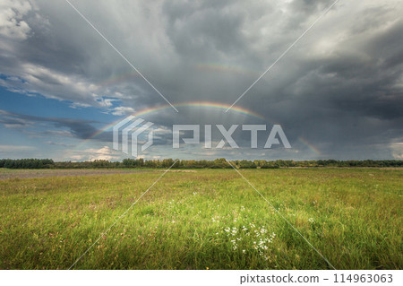 Rainbow and dark storm cloud over the meadow 114963063