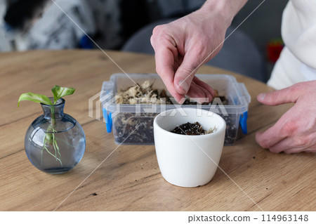 Man preparing a flower pot with soil for potting plant. Potting flowers at home. 114963148