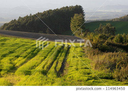 Scenery of Biei in September Scenery of Biei in September 114963450