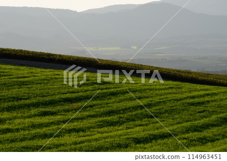 Scenery of Biei in September Scenery of Biei in September 114963451