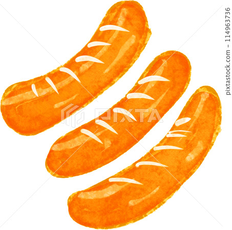 維納香腸的插圖 維納香腸的插圖 114963736