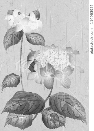 雨天繡球花兩隻青蛙的插圖 雨天繡球花兩隻青蛙的插圖 114963935