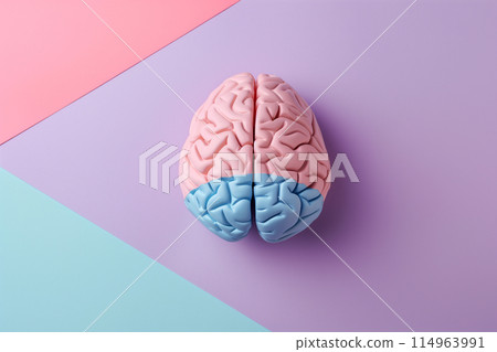 3D brain with copy space. Brainstorming, creative thinking sign. Pink and blue human mind symbol on pastel color background 114963991