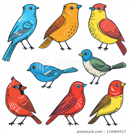 Colorful birds illustration featuring multiple avian species. Variety songbirds presented vibrant hues, cartoon style. Set birds, handdrawn look, isolated white background 114964427