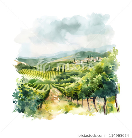 Rural landscape with vineyard fields and hills. Watercolor texture background. Hand draw design illustration for label or poster. ai 114965624