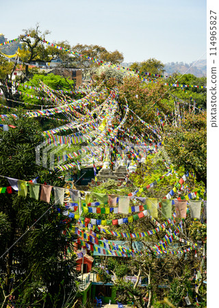 尼泊爾首都加德滿都斯瓦揚布納特寺風景非常美麗 尼泊爾首都加德滿都斯瓦揚布納特寺風景非常美麗 114965827