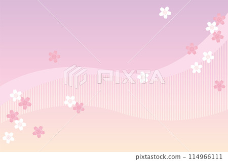 櫻花背景淺紫色 114966111