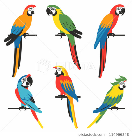 Six colorful parrot illustrations featuring various species perched different poses. Brightly colored feathers red, blue, green, yellow signify tropical birds. Exotic wildlife theme, cartoon style 114966248