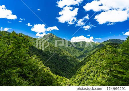 從石鎚天際線眺望夏天的石鎚山 1 愛媛郡上幸鴨郡熊高原町 114966291