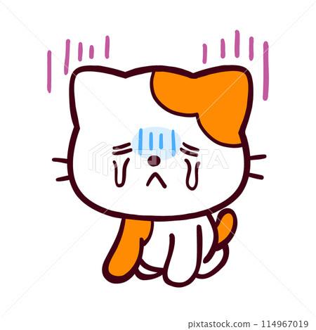 沮喪的滑稽貓 沮喪的滑稽貓 114967019