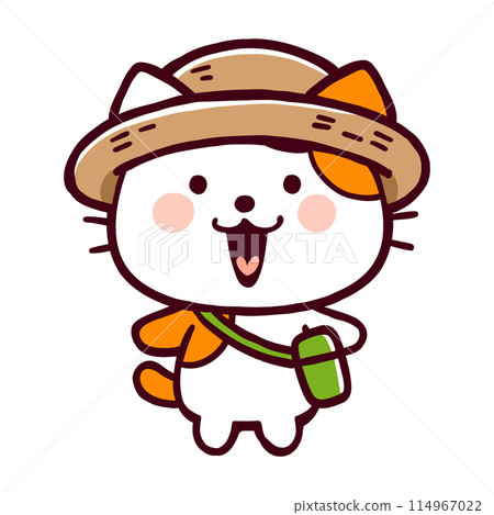 戴著草帽的滑稽貓 114967022