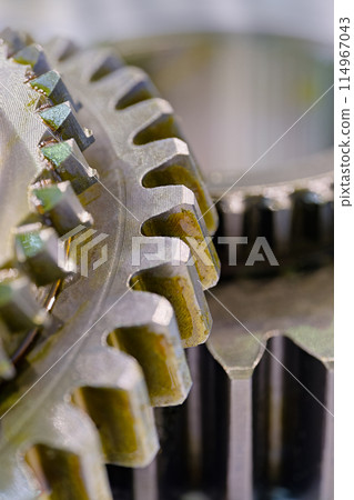 Group of pinions coated with lubricant 114967043