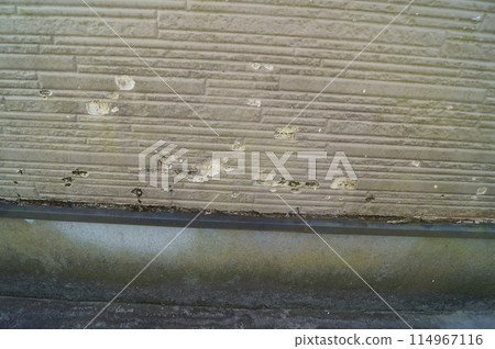 Deterioration of the siding on the inside of the balcony of a house built 26 years ago Deterioration of the siding on the inside of the balcony of a house built 26 years ago 114967116