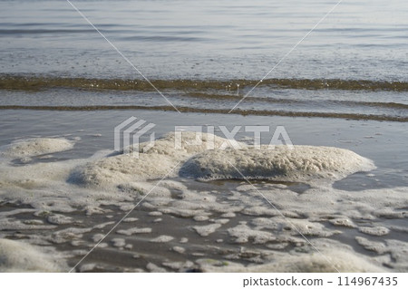 海灘上泡棉的特寫 海灘上泡棉的特寫 114967435