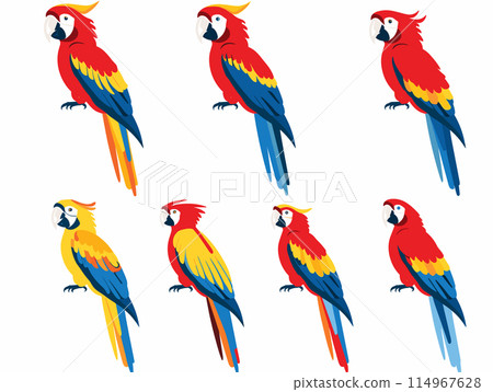 Colorful parrots perched, vivid red, yellow, blue feathers, exotic birds, multiple poses. Brightly colored tropical macaws, illustrations isolated white background, avian theme. Scarlet macaws 114967628