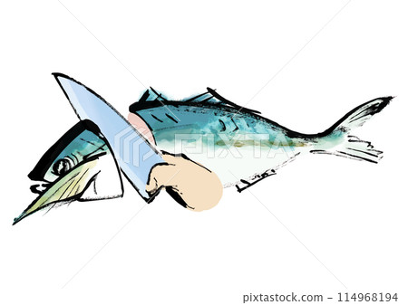 正在處理的魚(鯖魚)的日式手寫插圖 正在處理的魚(鯖魚)的日式手寫插圖 114968194