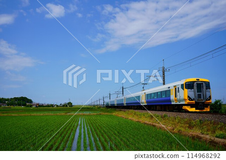 菖蒲節列車和藍天:水稻種植季節的成田線 菖蒲節列車和藍天:水稻種植季節的成田線 114968292