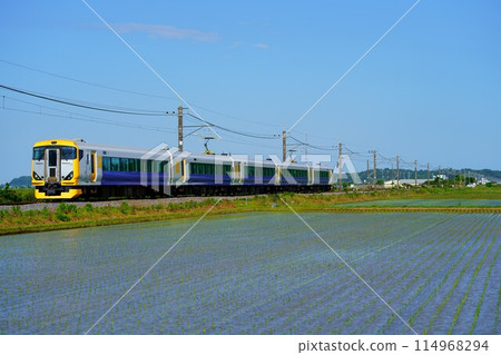 [Narita Line Scenery] The Ayame Matsuri Express train running through rice fields in early summer 114968294