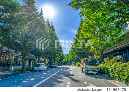Urban landscape of Shibuya Ward, Tokyo Sendagaya Station Fresh greenery 114968476