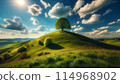 陽光山 114968902