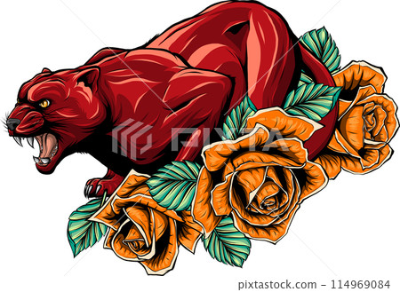 draw colorful feline cougar. vector illustration design draw colorful feline cougar. vector illustration design 114969084