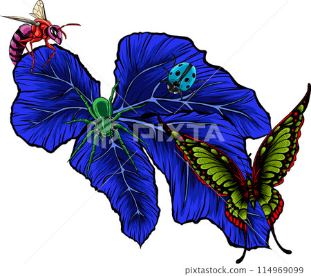 Butterfly with colorful wings. Vector illustration design Butterfly with colorful wings. Vector illustration design 114969099