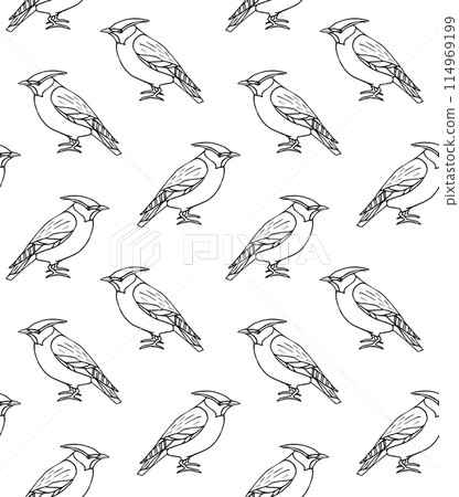 Vector seamless pattern of waxwing bird Vector seamless pattern of waxwing bird 114969199