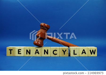 Tenancy Law alphabet letters with wooden blocks alphabet letters and Gavel on blue background 114969973