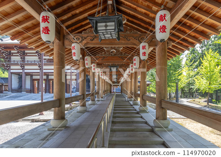 Echizen Daibutu Buddhist temple, Fukui, Japan. TRANSLATION 114970020