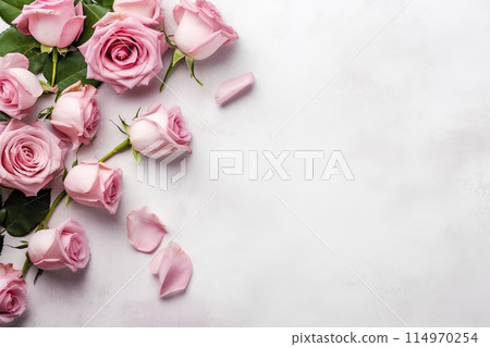 blooming pink roses flowers 114970254
