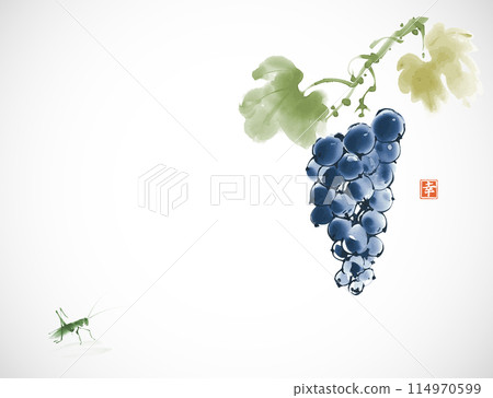 Ink painting of grapes in rich blue tones hanging from a vine with leaves and small grasshopper. Traditional oriental ink painting sumi-e, u-sin, go-hua. Hieroglyph - happiness. Ink painting of grapes in rich blue tones hanging from a vine with leaves and small grasshopper. Traditional oriental ink painting sumi-e, u-sin, go-hua. Hieroglyph - happiness. 114970599