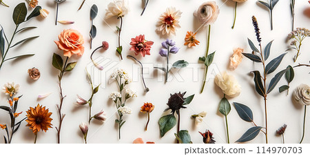 delicate colorful wildflowers on white background. wild flowers on white background delicate colorful wildflowers on white background. wild flowers on white background 114970703