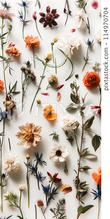 delicate colorful wildflowers on white background. wild flowers on white background 114970704