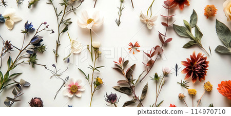 delicate colorful wildflowers on white background. wild flowers on white background delicate colorful wildflowers on white background. wild flowers on white background 114970710