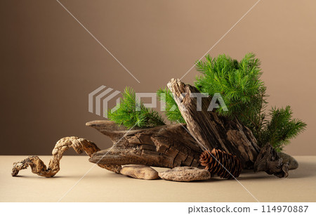 Abstract nature scene with a composition of spruce branches, stones, and dry snags. 114970887