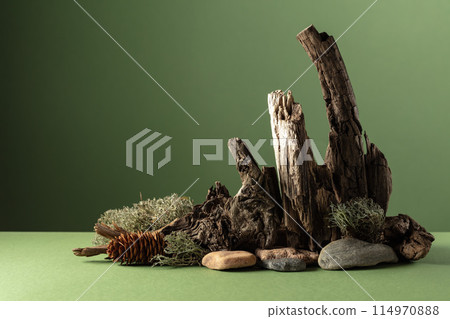 Abstract nature scene with a composition of moss, stones, and dry snags. Abstract nature scene with a composition of moss, stones, and dry snags. 114970888