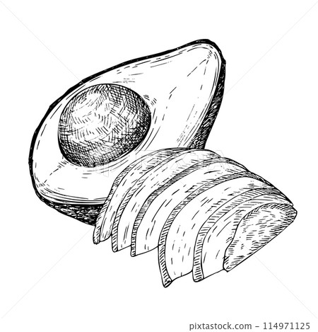 Avocado hass graphic vector illustration, hand drawn sketch of vegetable,sliced avocado. Botanical drawing of tropical fruit. Engraving for food packaging design. Plant sketch 114971125