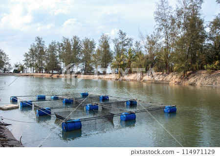 Cage aquaculture farming, Thailand 114971129