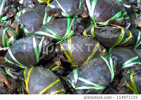 Fresh Crab Fresh Crab 114971135