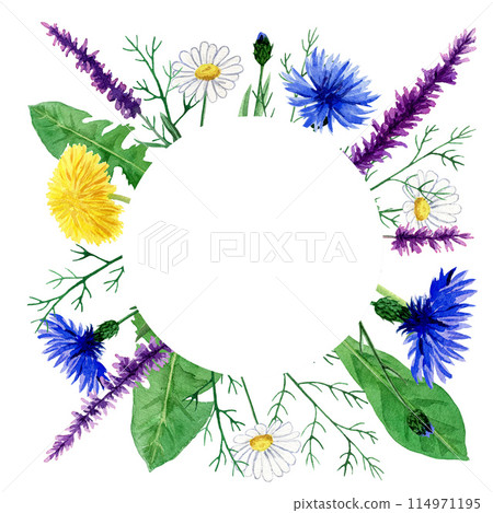 Watercolor greeting card with field herbs, round composition with copy space, can be used as invitation card for wedding, birthday and other holiday Watercolor greeting card with field herbs, round composition with copy space, can be used as invitation card for wedding, birthday and other holiday 114971195