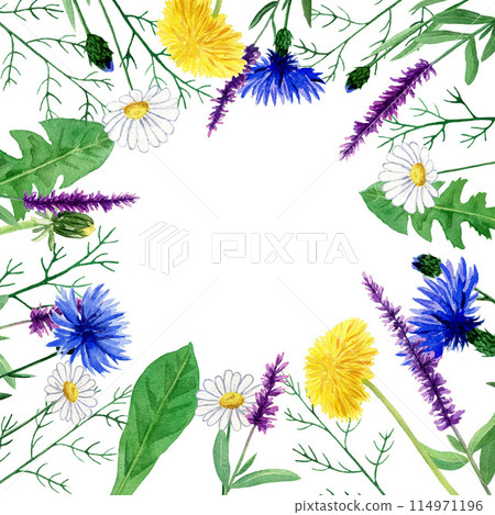 Watercolor greeting card with field herbs, round composition with copy space, can be used as invitation card for wedding, birthday and other holiday 114971196